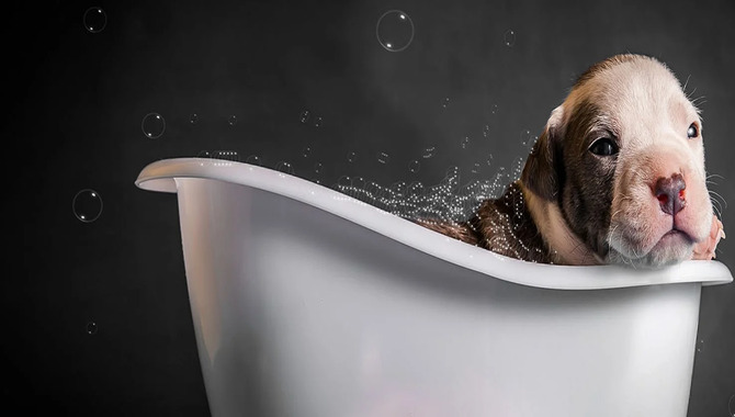 Why Is My Dog Climbing In The Tub- The Reasons For Dogs Being Like That