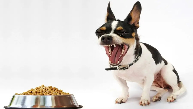 Dogs Bark At Their Food