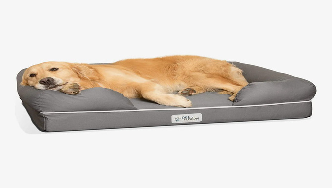 Ensure The Bed Is Comfortable For Your Pet: