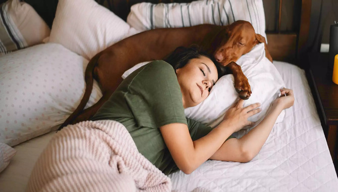  Let's Know Why Does My Dog Sleep On Me And Not My Husband?