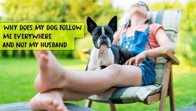 My Dog Follow Me Everywhere And Not My Husband
