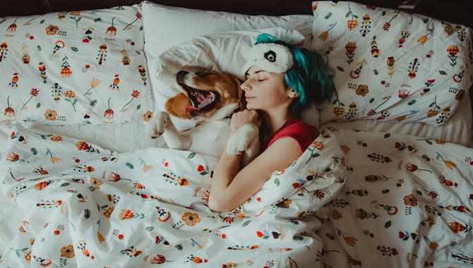 Should Your Dog Sleep on the Bed with You