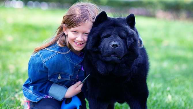 What To Do If Your Child Unknowingly Provokes A Dog