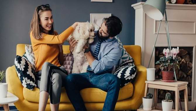 Your Husband May Be A Stranger To Your Pet: