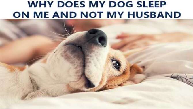 why-does-my-dog-sleep-on-me-and-not-my-husband-pet-slider