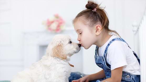 Why Dogs Specifically Prefer To Bite Children