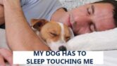 Why My Dog Has To Sleep Touching Me? – Is That Normal?