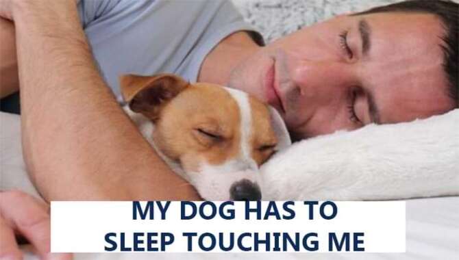 Why My Dog Has To Sleep Touching Me
