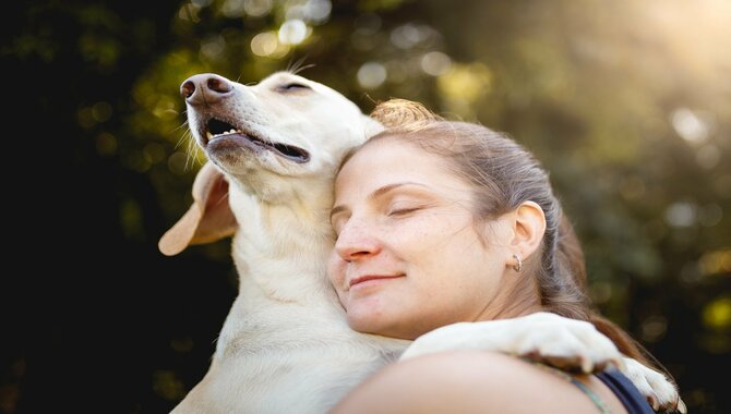 Your Pup Is Looking For Affection Or Attention From You