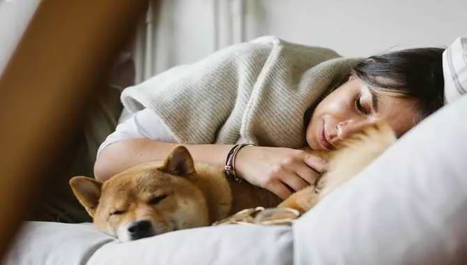 Dogs Sleep on Their Bum Facing You