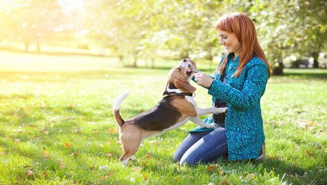 Sign of Your Dog Really Does Trust You