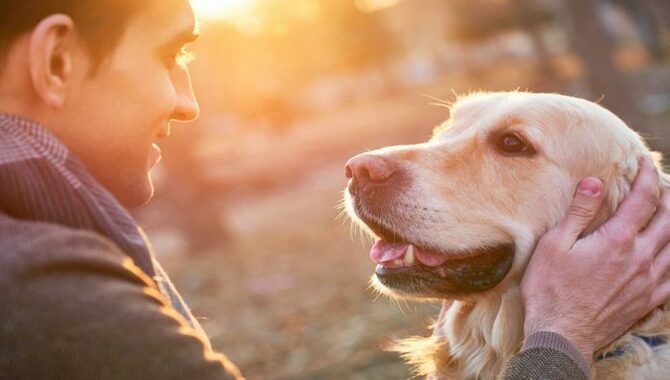  Signs that Your Dog Trusts You