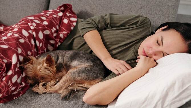 Some Other Reasons For Why Do Dogs Sleep With Their Bum Facing You