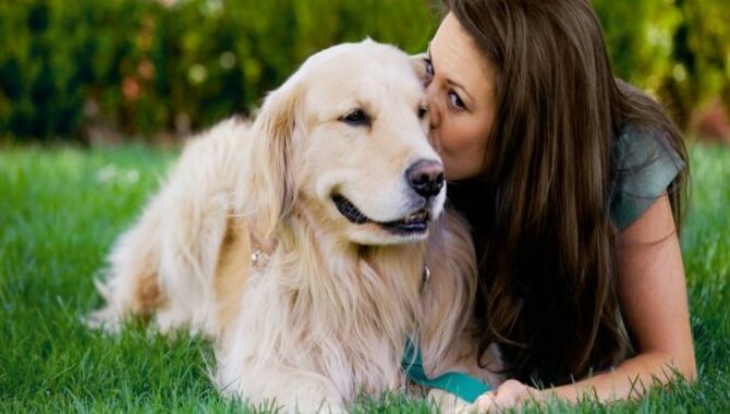 Ways to Strengthen Your Bond With The Dog