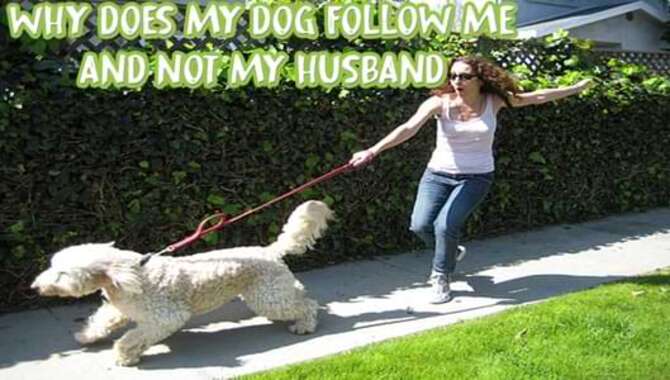 Why Does My Dog Follow Me And Not My Husband