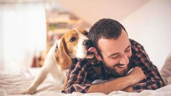 My Theory, Why Does My Dog Prefer My Husband Over Me