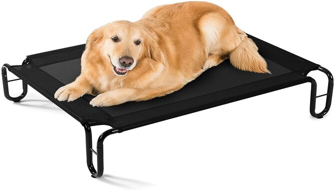 Practical Solutions For Your Large Breed Dogs