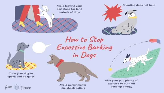 Reasons Your Dog Won't Stop Barking