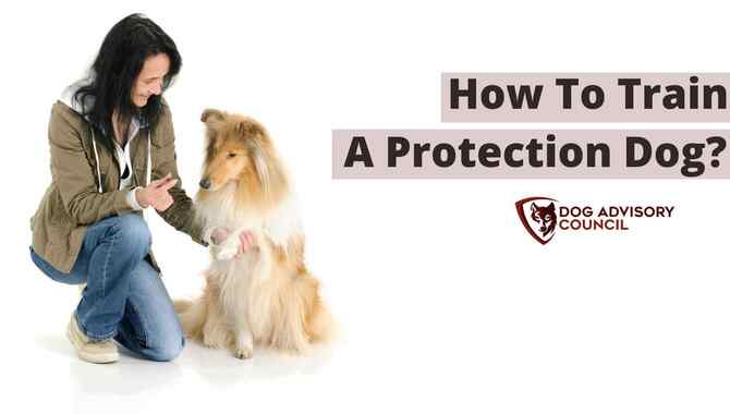 Teach Dogs Good Manners to Protect Them from Attack