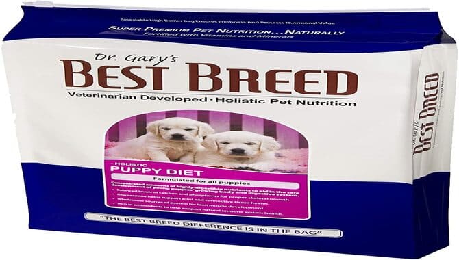 Best Puppy Food For Labs And Large Breeds