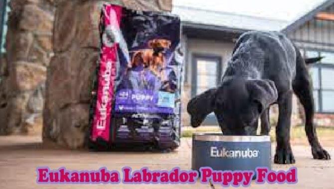 Eukanuba Labrador Puppy Food