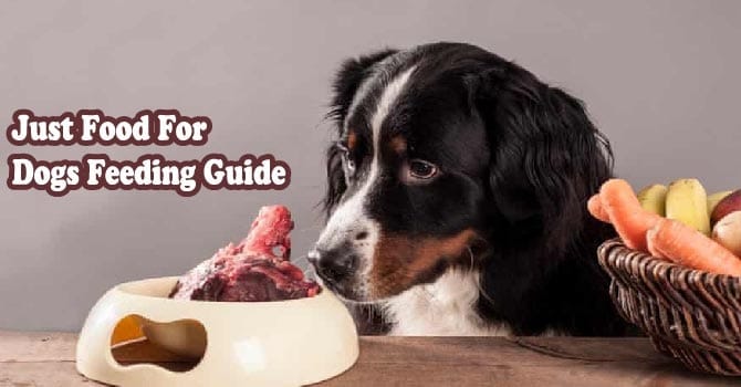 Just Food For Dogs Feeding Guide Best Feeding Guide 