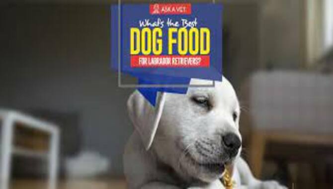 Specific Labrador Retriever Dry Dog Food