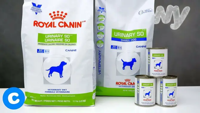 Alternative To Royal Canin Urinary So Dog Food
