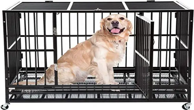 Don't Keep Him In A Crate That's Too Big For Him
