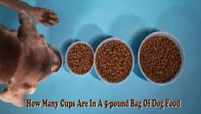 How Many Cups Are In A 5-Pound Bag Of Dog Food