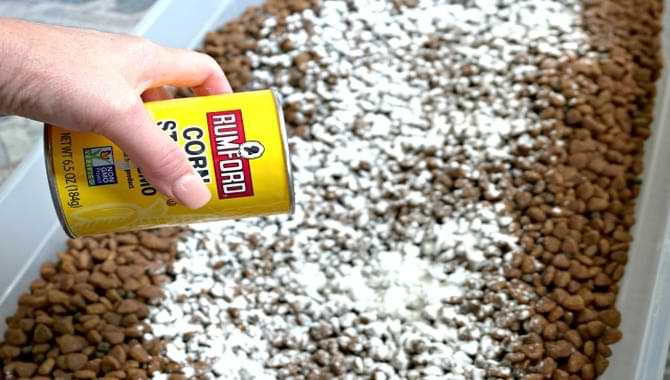 How to Kill Ants in a Bag of Dog Food