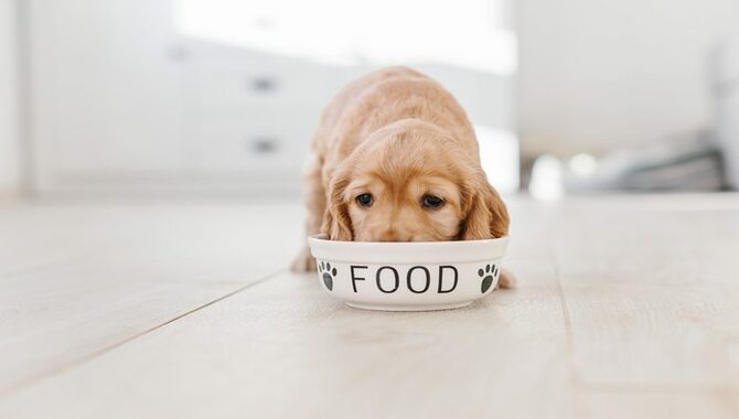 Natural Nutrients For Your Puppy