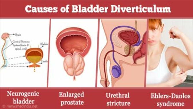 What Causes Urinary Or Bladder Problems