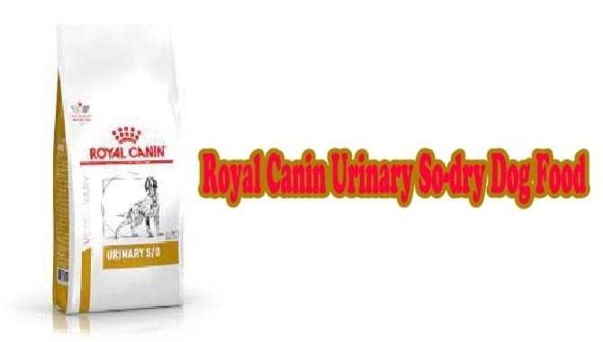 ROYAL Canin Urinary SO-Dry Dog Food