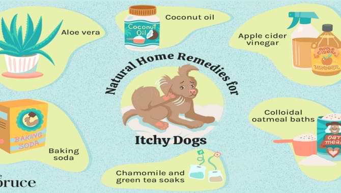 Remedies And Cure For Puppies