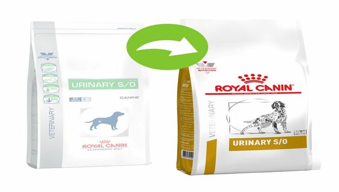 Royal Canin Urinary Is The Best Dog Food