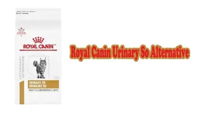 Royal Canin Urinary SO Alternative