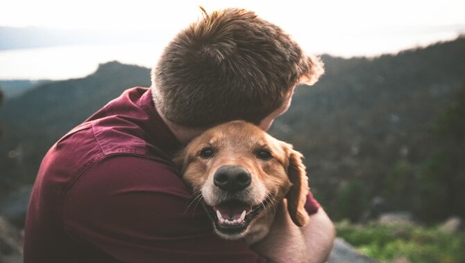 Top Ways Dogs Show They Love You