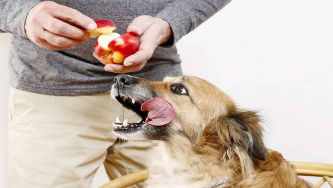 healthy treats for 8 week old puppy