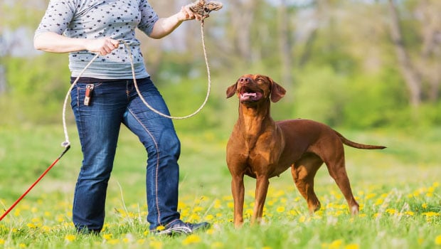 Enhance Mutual Bonding