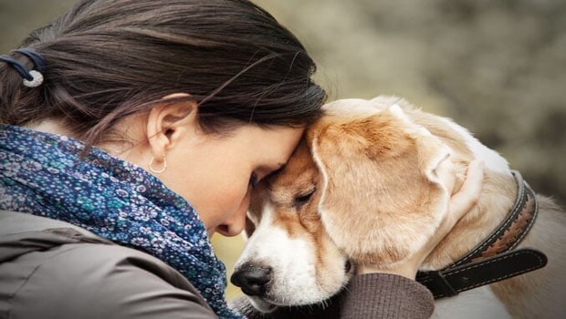 Making Your Dog Significantly Protective