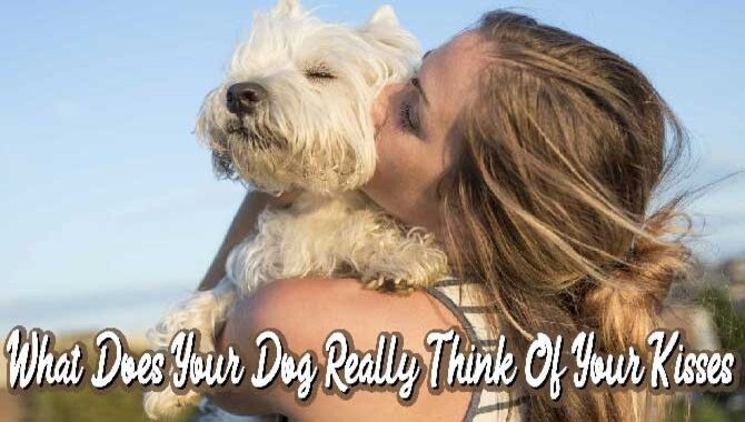 What Does Your Dog Really Think Of Your KisseS