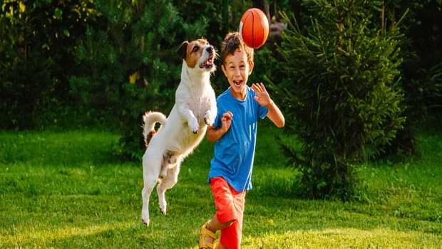 Facts About Dogs For Kids