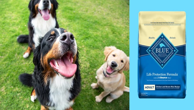 Blue Buffalo Natural Veterinary Diet Gi Low-Fat Wet Dog Food