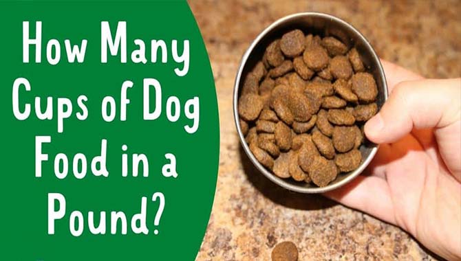 How Many Cups Of Dog Food In A Pound