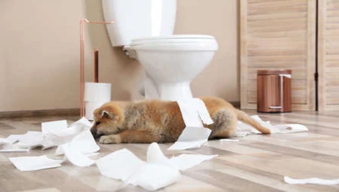 The Bathroom Floor Feels Cool And Comfortable.