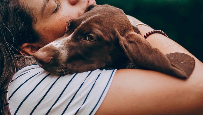 The Behavior Of Dogs When Burying Their Heads