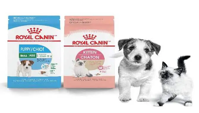 What Is Royal Canin?