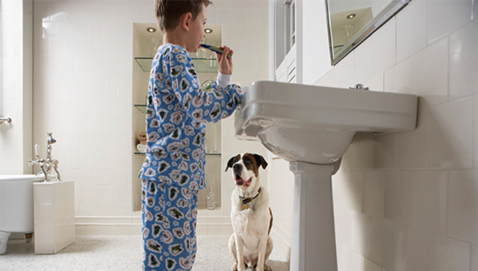 Why Do Dogs Follow You To The Bathroom