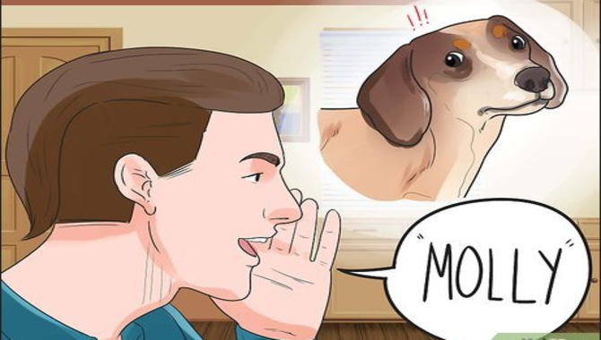 10 Smart Tips To Teach A Puppy Their Name